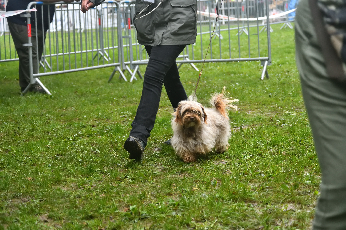 Vita de La Forge aux sept flammes